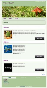 mypacecustomplus